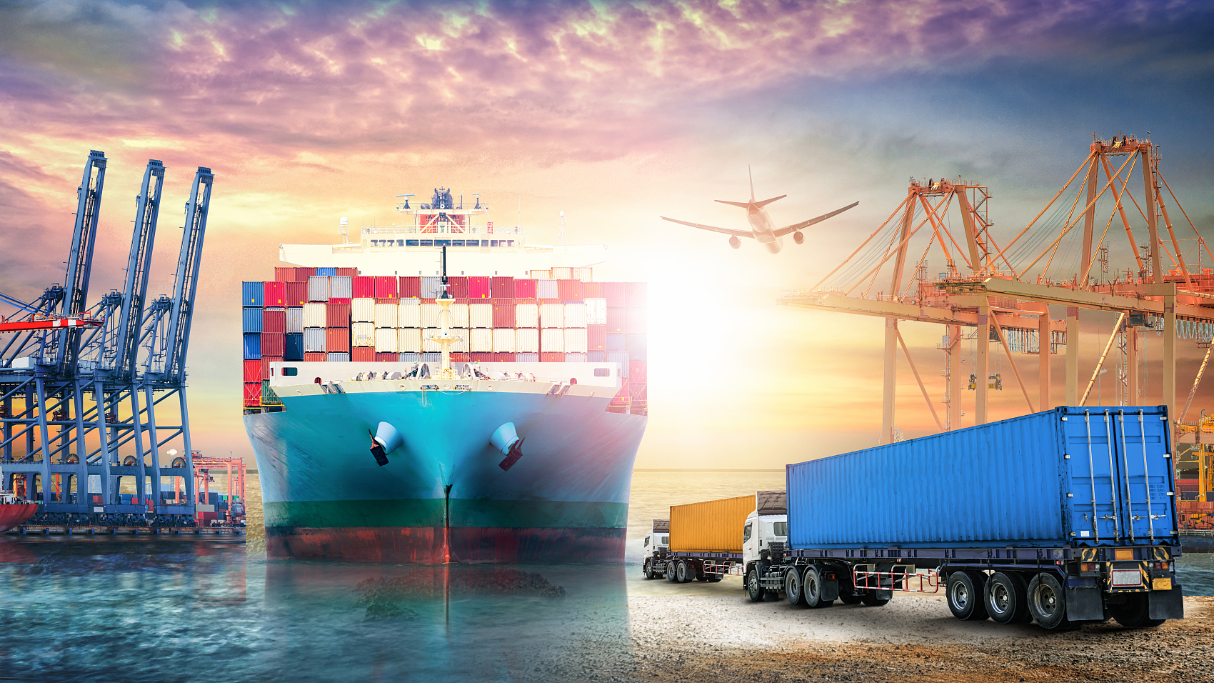 Logistics professional managing cargo documentation