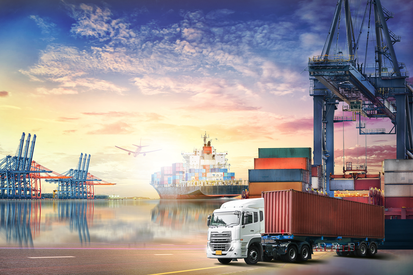 Logistics professional monitoring real time shipping data