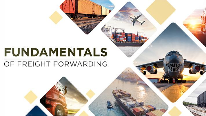china export logistics to new zealand