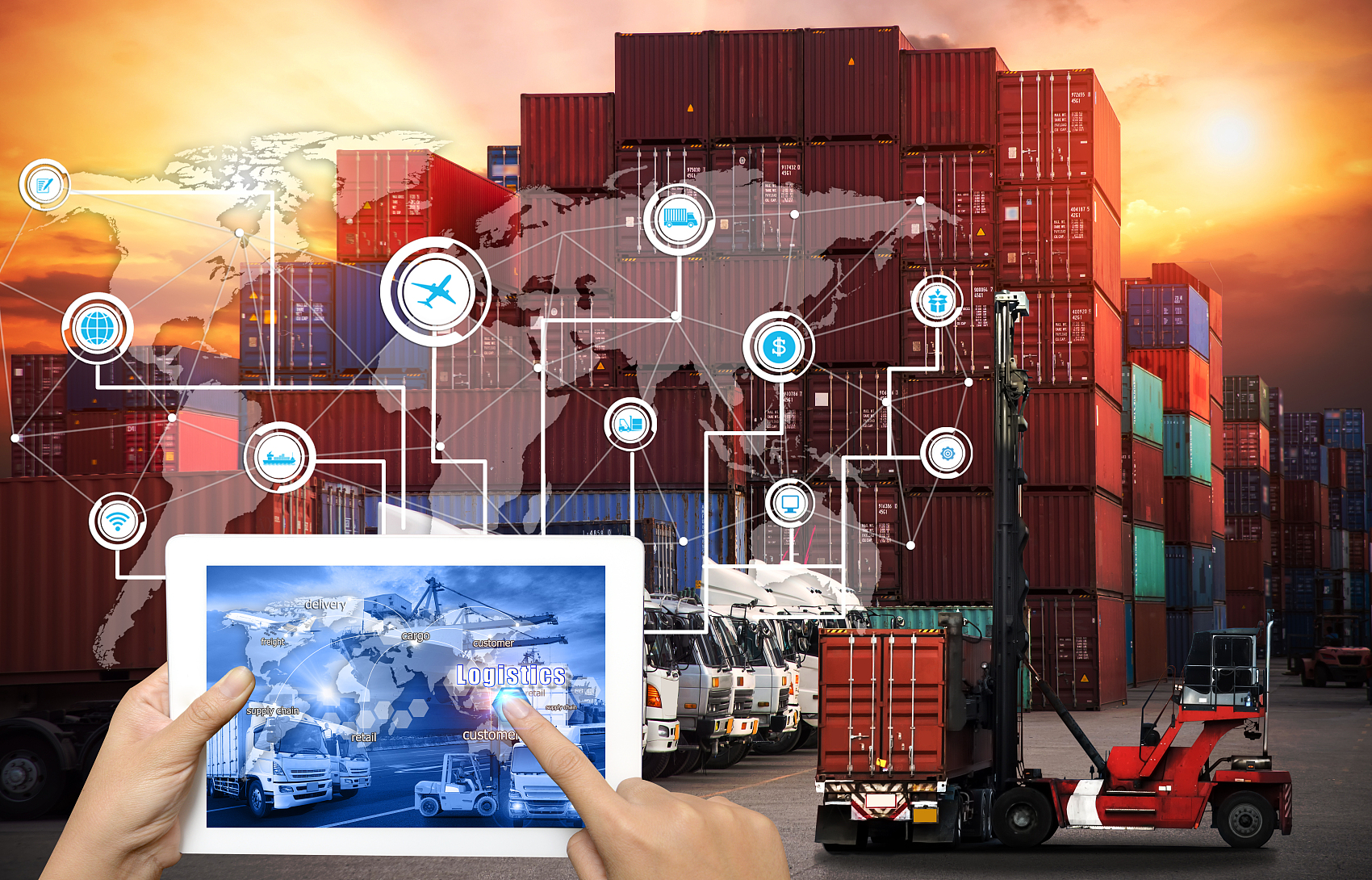 ddp sea freight china to new zealand