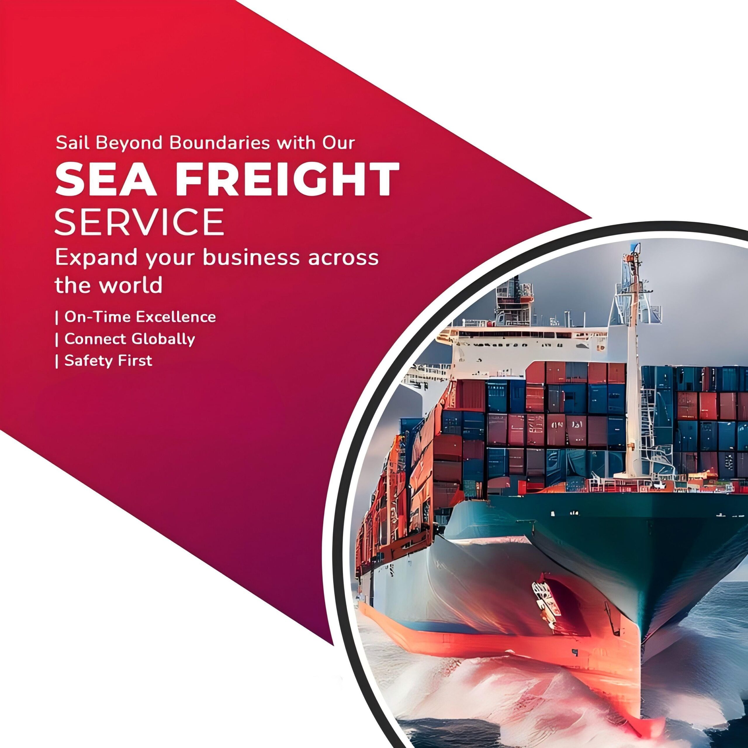 china to new zealand cargo shipping company reliable